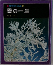 科学のアルバム48　雪の一生