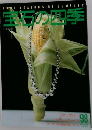 宝石の四季　1991年8・9月号
