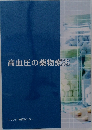 高血圧の薬物療法