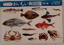 カラー版　おいしい魚図鑑〈秋・冬〉