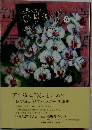 はすかっぷ　6 随筆集
