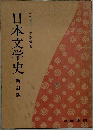 日本文学史 新訂版