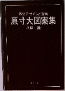 原寸大図案集