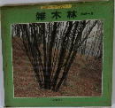 雑木林