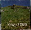 白馬岳の自然観察