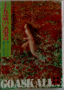 十五歳の遺書　