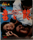 週刊プロレス 1994.1