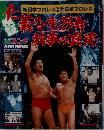 新日本プロレス全日本プロレス 