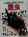 小学館の図鑑NEO　昆虫