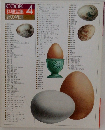 COOK料理全集　卵の料理　４