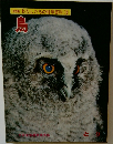 図鑑わたしたちの科学科13　鳥　