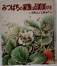 みつばちの家族は50000びき