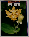 学研版学習科学図鑑　野外植物