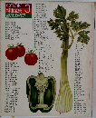 COOK 料理全集 3 野菜の料理