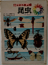 昆虫