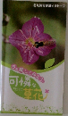 さぁ探してみよう！可憐な草花