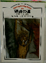 鎮魂の道　原爆 水俣 沖縄