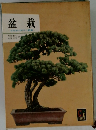 盆栽　自然美の創作と観賞