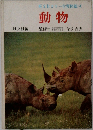 動物