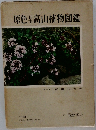 原色日本高山植物図鑑