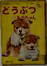 どうぶつのあかちゃん　1～3歳