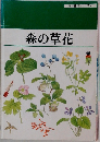 森の草花