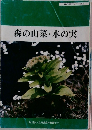 森の山菜・木の実
