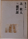 現代の文学 30