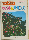 園芸新知識増刊号26　 たのしい園芸　ツバキとサザンカ