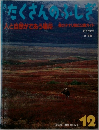たくさんのふしぎ　2009　12