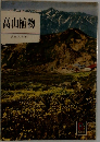 高山植物 