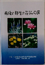 丹後の野生の花145選