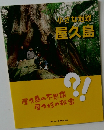 小さな地球  屋久島