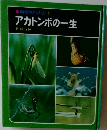 科学のアルバム 10  アカトンボの一生