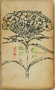 虹の花びら