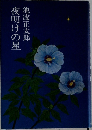 夜明けの星