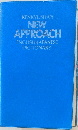 new approach english-japanese dictionary