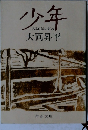 少年