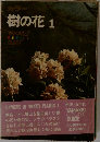 カラー  樹の花 1