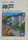 神戸  坂道に季節が顔をのぞかせる風の街