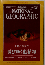 ナショナル ジオグラフィック　1999年2月号