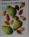小さなパーティのための料理　11