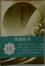 小説 日蓮大聖人　14
