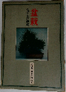 盆栽 仕立て方と観賞