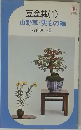 山野草・実もの編