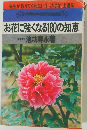 先生が教えてくれないいけばな上達法  お花に強くなる180の知恵