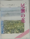 ひと目でわかる  尾瀬の花