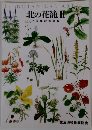 北の花籠Ⅱ15周年記念図録