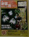 野菜づくり化づくり　2010年5月号