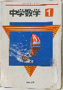 中学数学　1